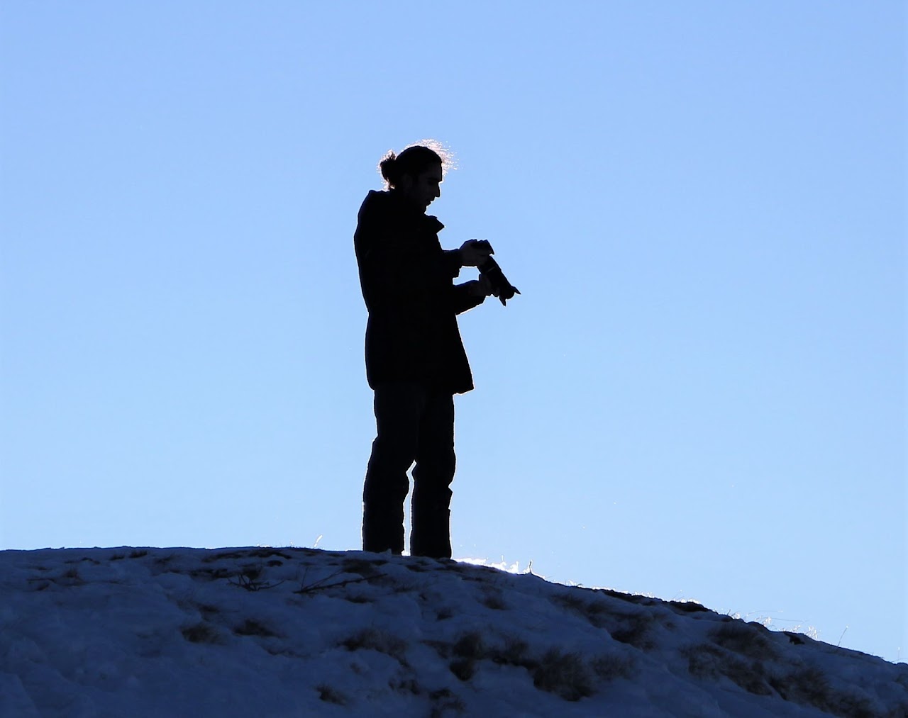 Portrait of Ekin Efe Gungor